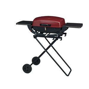 Barbecue portable d'extérieur, barbecue de camping, machine en acier inoxydable naturel, brûleur à gaz Bbg - Product Image 1