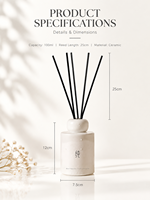 Diffuseur de parfum d'ambiance en céramique 100 ml avec bâtonnets en fibre à parfum longue durée pour chambre, salon, cadeau