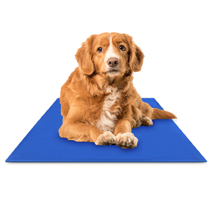 Almohadilla de hielo para mascotas de verano, cojín para gatos pequeños, medianos y grandes, alfombrilla refrescante para perros de Gel para mascotas de verano - Product Image 1
