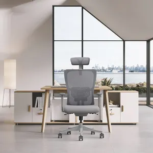 Hoge Kwaliteit Sigma Draaibare Ergonomische Kantoorstoelen Modern Design Met Mesh En Stof Gratis Verzending Groothandelsprijzen