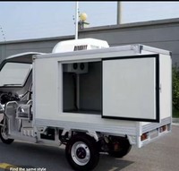 Tricycle solaire sur mesure avec caisse frigorifique mobile pour la livraison de fruits de mer, viande et légumes, facile à assembler