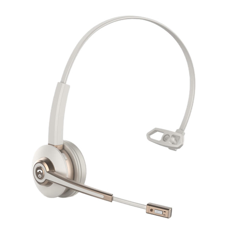 noise canceling headphones with a mic