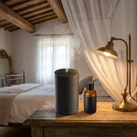Mini Diffuseur d'Arômes à Air Froid Sans Eau, Usage Personnel, Compact, Brume Intense pour Bureau, Comptoir, Petite Pièce, Machine à Parfum