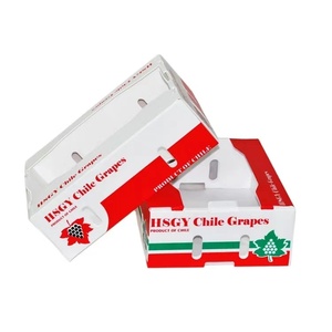 Cajas de Embalaje de Mariscos y Ostras de Polipropileno Corrugado Reciclable al Mejor <span class=keywords><strong>Precio</strong></span>, Cajas de Plástico Huecas para Almacenamiento y Transporte de Langostas - Product Image 4