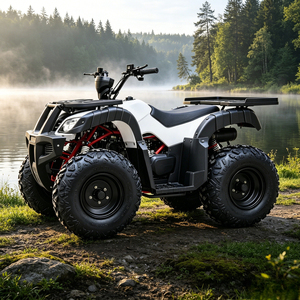 <span class=keywords><strong>Cuatrimoto</strong></span> Utilitaria de 180cc, 8.3kW de Alta Potencia, 4 Ruedas, con Portaequipajes y Marcha Atrás, 1+1 Automática, de Gasolina, para Granja - Product Image 6