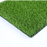 Dalles de sol portables pour terrains de sport, tapis de gym insonorisés, tapis de lutte en rouleau, gazon artificiel PP+PE
