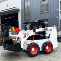 Spedizione Gratuita per Minipala Cingolata Diesel Nuova Piccola per Uso Domestico e Agricolo con Braccio di Bilanciamento