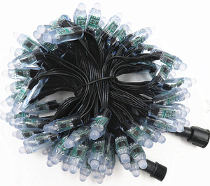 (USA Cổ Phiếu) 12mm 50ct DC12V 0.5W RGB <span class=keywords><strong>Bullet</strong></span> <span class=keywords><strong>pixel</strong></span> đèn với xconnector và 4 ''khoảng cách - Product Image 2