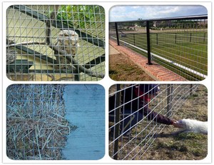 가장 유리한 가격 조리개: 0.6mm * 1cm 사각형 구멍이있는 울타리 및 새장에 사용 그리드 그리드 - Product Image 5