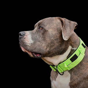 Venta al por mayor <span class=keywords><strong>Collar</strong></span> de perro mascota con asa <span class=keywords><strong>Collar</strong></span> de pastor alemán acolchado suave para perros medianos y grandes <span class=keywords><strong>Collar</strong></span> de perro táctico resistente - Product Image 6