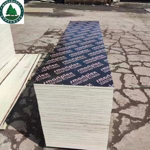 Venta directa de fábrica, película de arce canadiense ecológica, cara de chapa de abedul de madera contrachapada amarilla para uso en la sala de estar, precio barato - Product Image 4