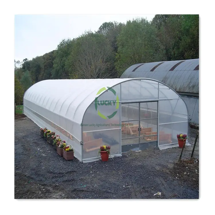 Çin üretici ticari galvanizli çelik yapı tünel yeşil ev Polytunnel tek açıklıklı seralar