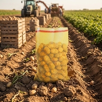 PP Mesh Zakken Ui Aardappel Mesh Zakken Fruit Groente Netzakken Groothandel Productenzakken Verpakkingen