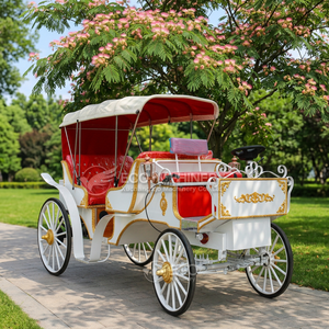 Nouvelle calèche électrique de mariage pour le tourisme, chariot de chevaux à vendre - Product Image 2