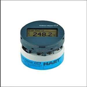 สินค้าขายดี Endress+Hauser TMT72-AAA1AABA1 เทอร์โมมิเตอร์วัดอุณหภูมิ, ชุดติดตั้งมาตรฐาน DIN, ขั้วต่อแบบสกรู - Product Image 1