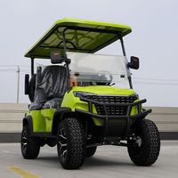 Voiturette de golf électrique tout-terrain Augus 5-6 places avec pneus surélevés, buggy de chasse tout-terrain, autonomie de 90 km, certifiée CE