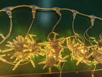 Décoration - Lumières de gouttière LED RGB - Extérieur - Étanche - Changement de couleur - Lumières à clipser pour les avant-toits - Noël