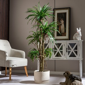 Árbol de Dracaena Artificial para Espacios Decorativos Interiores, Planta <span class=keywords><strong>Verde</strong></span> Grande en Maceta para Decoración de Sala de Estar, Oficina y Hogar - Product Image 6