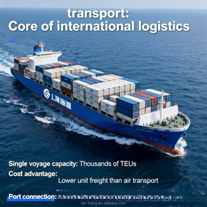 Agent d'expédition DDP, transport spécial porte-à-porte avec conditions de livraison de la Chine vers les États-Unis, l'Europe, l'Italie, logistique complète - Product Image 3