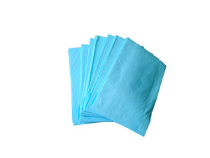 Tapis d'apprentissage jetables super absorbants à 5 couches anti-odeurs pour grands chiens et chiots - Product Image 2