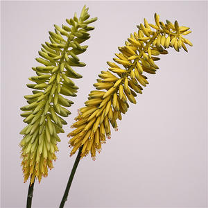 Fleur artificielle haut de gamme K40 en plastique souple au toucher tropical, type roseau queue de phénix, pour la décoration de vitrines d'hôtels et de magasins - Product Image 1