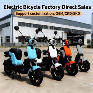 Fuente DE FÁBRICA DE China de alta velocidad 48V 2 asientos Smart Electric City EBike 500W Mid Drive Rear Hub 350W Motor para adultos - Product Image 6