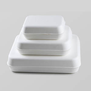 ย่อยสลายได้แบบกำหนดเอง <span class=keywords><strong>Pulp</strong></span> กล่องย่อยสลายได้ - Product Image 1