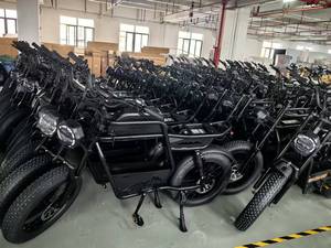 Motocicleta Eléctrica Resistente para Desierto, Lodo y Caminos Rocosos - Product Image 2