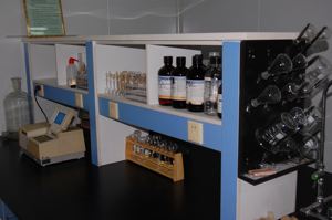 Anti-inflamación Salix Alba/extracto de <span class=keywords><strong>blanco</strong></span> Extracto de corteza de sauce Salicin - Product Image 5