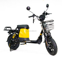 2025 Offres Spéciales russe e-bike longue portée Bldc moyeu moteur électrique cadre vélo électrique Cargo vélo pour adultes