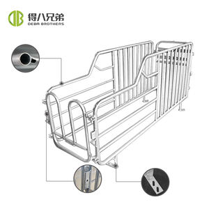 Vente directe d'usine nouveau stylo à cloison unique en acier galvanisé garantie 1 an stalles individuelles de porcelets pour les fermes porcines - Product Image 3