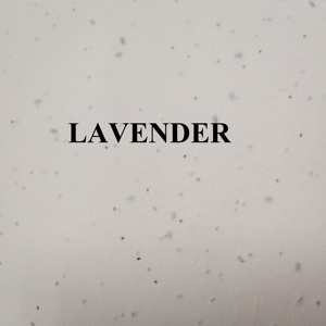 200gsm A4 Size Wholesale <strong>Plantable</strong> Seed Card <strong>Paper</strong> Handmade Style - Product Image 4