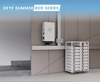 Kit ESS total Deye BOS-G Pro 5KWh 12PCS Batteries lithium-ion LiFePO4 de stockage d'énergie 60KWH avec rack 3U et PDU