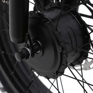 Vélo électrique TXED avec support OEM/ODM, cadre en alliage 20'', moteur double avant-arrière 48V500W, batterie lithium 20Ah, moto électrique - Product Image 6