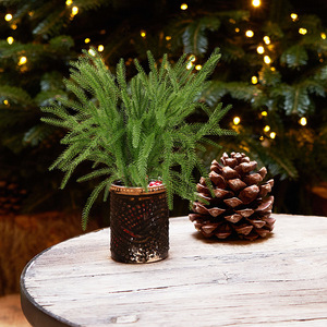 Planta Artificial de Agujas de Pino Norfolk de 10cm-30cm, Decoración Navideña para el Hogar, Adorno de Plástico Verde - Product Image 4