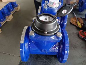 Medidor de agua fría/caliente DN80, elemento extraíble, Woltman, gran oferta, precio - Product Image 6