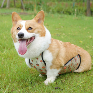Ceinture ventrale pour chien, anti-poussière, chaude, pour grands chiens, quatre saisons, style mignon - Product Image 1