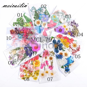 Decoración de <span class=keywords><strong>Uñas</strong></span> con <span class=keywords><strong>Flores</strong></span> <span class=keywords><strong>Secas</strong></span> Naturales en 3D, <span class=keywords><strong>Flores</strong></span> <span class=keywords><strong>Secas</strong></span> Reales de Colores Mezclados <span class=keywords><strong>para</strong></span> <span class=keywords><strong>Uñas</strong></span> Acrílicas - Product Image 2
