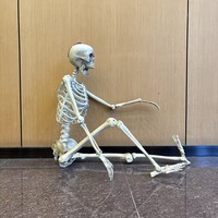 Décorations de squelettes d'Halloween en plastique les plus populaires, squelettes pour maison hantée, cadeaux personnalisés pour les fêtes, fournitures de fête