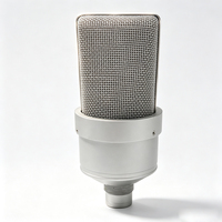 Microphone à condensateur personnalisé en métal argenté mat de haute qualité, corps de microphone, coque de microphone JX103, vente en gros