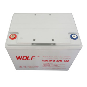 電気スタッカー用<span class=keywords><strong>6</strong></span>-<span class=keywords><strong>GFM</strong></span>-<span class=keywords><strong>100</strong></span>ゲルディープサイクル鉛酸12V100AHバッテリー - Product Image 6