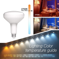 Puces à spectre complet approuvées par la FCC SAA US DDP ETL RA98 Dim to Warm 2700-6500K OEM ODM BR30 BR40 Ampoule LED avec base E26