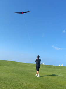 2026 Nuevo Cometa Personalizado de Fábrica, Fácil de Volar, Más Vendido, Grande, Cometa Cuchillo Pájaro 4m - Product Image 5
