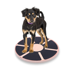 USMILEPET Best Seller Custom Balance <b>Disc</b> Wood Dog Training Equipment for Canine Fitness Rehabilitation Core Strength Stability - Product Image 1