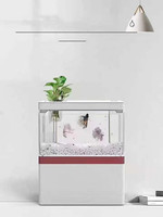Zaohetian Aquarium à poissons moderne de bureau rechargeable en acrylique, réservoir de tortue USB avec lampe LED Mini Aquarium à poissons