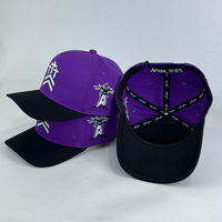 Gorra de Béisbol Vintage de 5 Paneles Personalizada con Logotipo Bordado, Lista para Venta al por Menor, para Proveedores de Regalos Personalizados