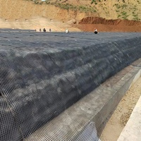 Géogrilles en polyester enduit de bitume en PVC à haute résistance PET Geomalla Road Construction Geomesh