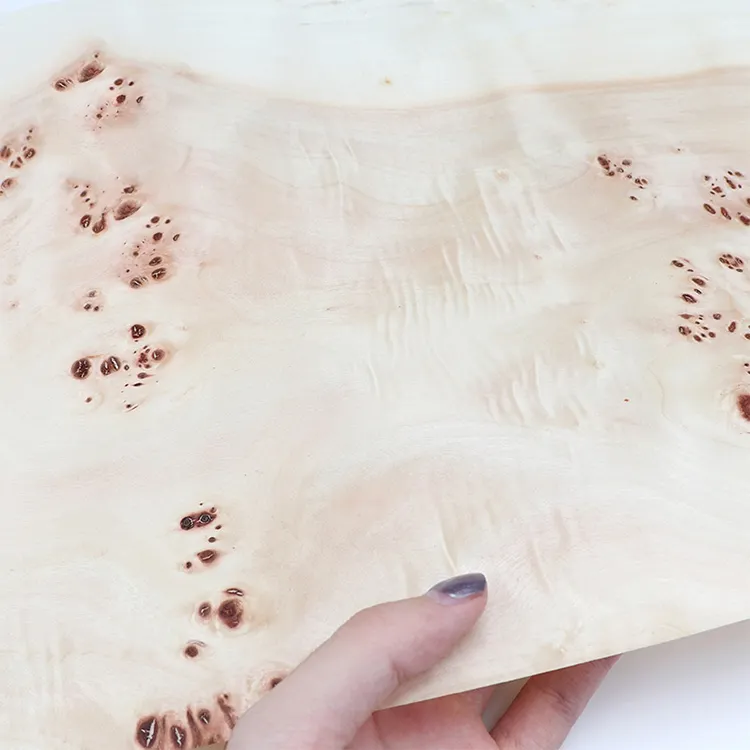 Tùy chỉnh thiết kế hiện đại Maple Burl Veneer FSC chứng nhận gỗ tự nhiên Veneer cho đồ nội thất hộp sang trọng và cửa ra vào