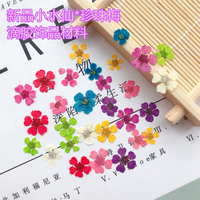 Fiori Naturali Pressati per Nail Art 3D, Decorazioni Metalliche Fai-da-Te, Logo Personalizzato, Fiori Veri Essiccati per Unghie