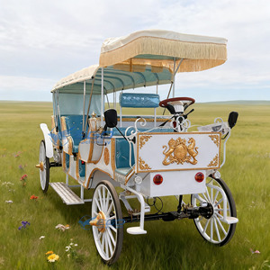 Produttori di prezzi all'ingrosso carrozza turistica reale turismo turismo carrello elettrico trasporto speciale per la vendita - Product Image 2